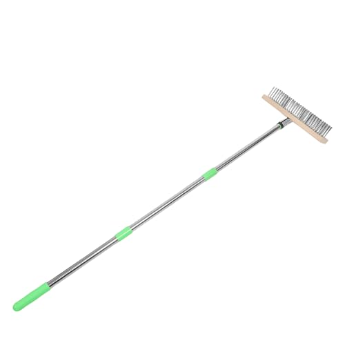 Brosse de nettoyage en fil d'acier inoxydable avec manche vert ergonomique