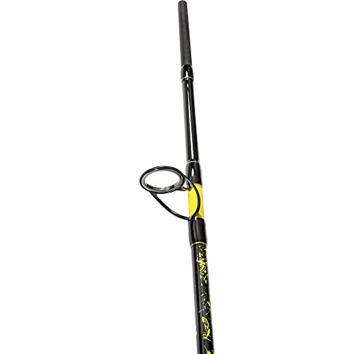 Black Cat Premium Welsrute Perfect Passion Spin Angelrute Spinnrute Wels Angeln Wallerrute 2,7m Wurfgewicht 60-200g