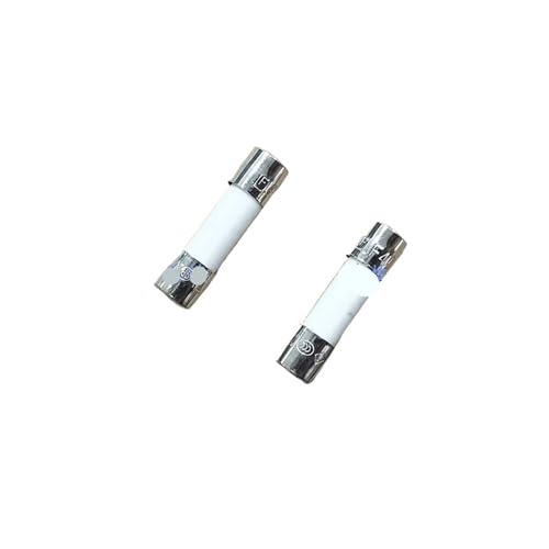 ZCERA 2 PCS ceramic fuse tube F4AH/fast-blow/216 series T4AH/slow-blow/215 250V 5X20mm (Color : F4AH250V)