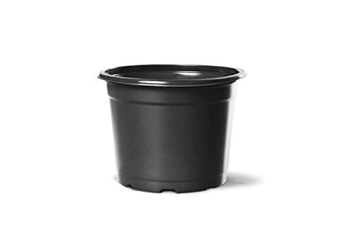 Vaso Plástico Pote 13 Holambra preto kit com 100 pç