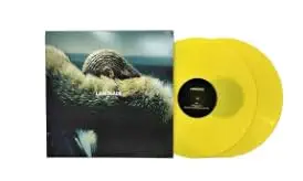 Lemonade - Yellow, Double Record by Beyoncé — album cover