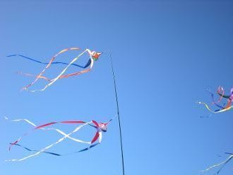 EEZ RV Products 23FT Telescoping WindSock Pole with (Multicolor) Wind Spinner Adjustable and Easy to Assemble, Great for RV Ladder Mount (Kit)