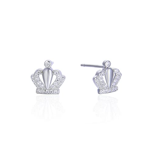 Clou d'oreille en Argent Sterling réglant le problème des boucles perdues