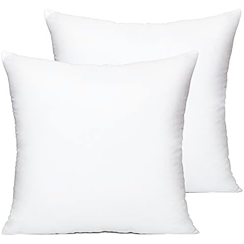 HIPPIH 20 x 20 Inch Pillow Inserts (Set of 2), Decorative Throw Pillow Inserts, Hypoallergenic Square Pillow Form Insert with Zips, Upgraded Cover