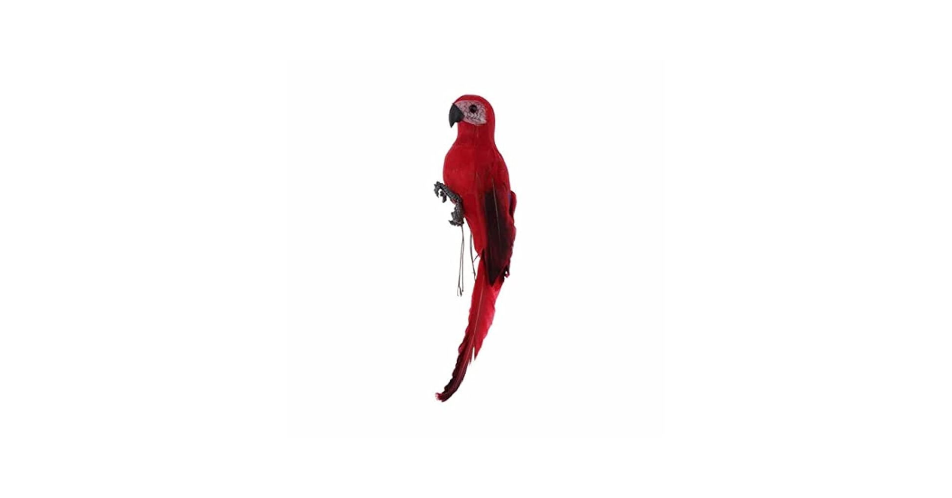 21Eo9RG9slL.jpg_BO30,255,255,