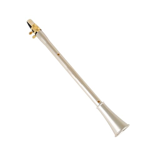 Saxophone de poche portable instrument d'initiation simple