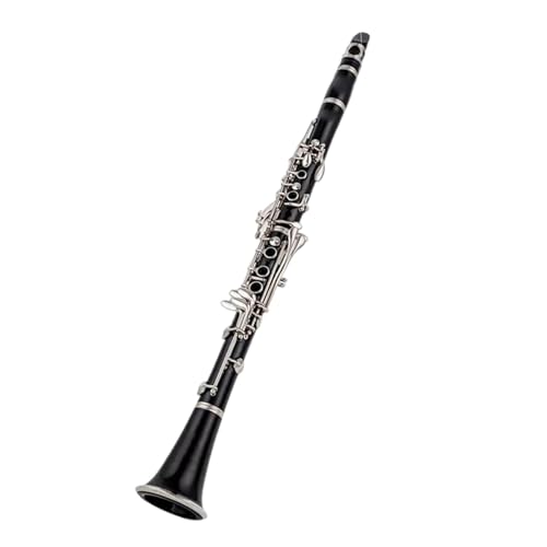 Clarinette 17 touches en bakélite avec boîte de transport pour débuter la musique