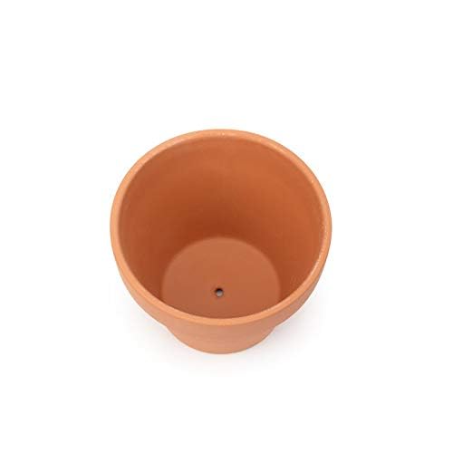 Confezione da 10 vasi di terracotta in terracotta, vaso per piante grasse, vaso da fiori per casa, ufficio, scrivania, ornamento 6,5 x 6 cm