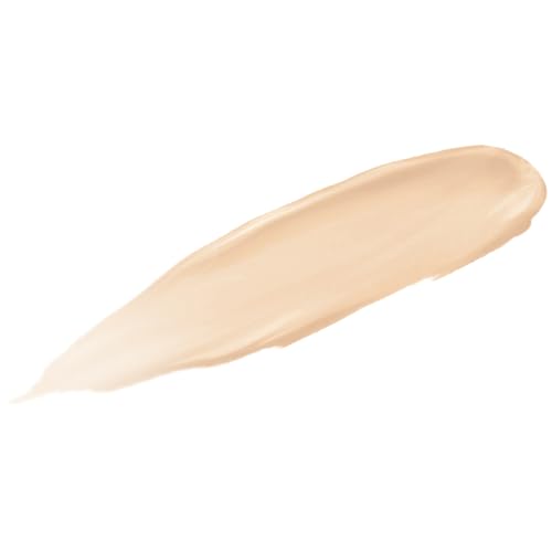 L'Oreal Paris Makeup Infallible Full Wear Waterproof Matte Concealer, Full Coverage, Biscuit, 0.33 fl. oz