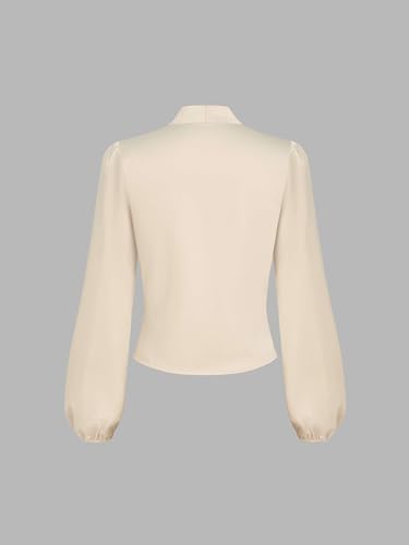 CIDER Satin V-Neck Wrap Zip Long Sleeve Blouse4