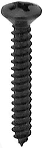 100 tornillos autoperforantes Oval Phillips #6 X 1 pulg. miniatura 1
