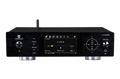Tone Winner TY-i30PRO Reproductor digital inalámbrico de alta fidelidad (negro)