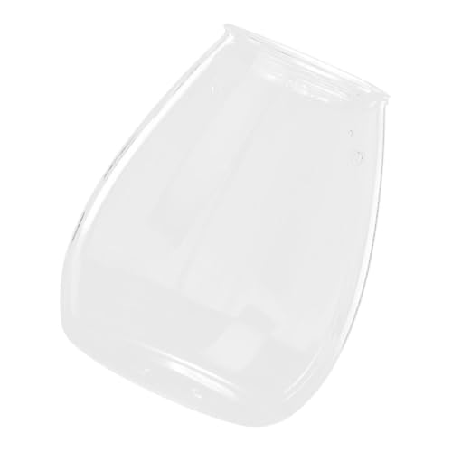 BESTonZON Vase Hydroponique Vide Terrarium Verre pour Plantes Contenant Décoratif pour Micro-Jardin