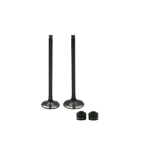 Soupapes d'admission échappement AN250 DR250 joint tige soupape étanchéité moteur moto