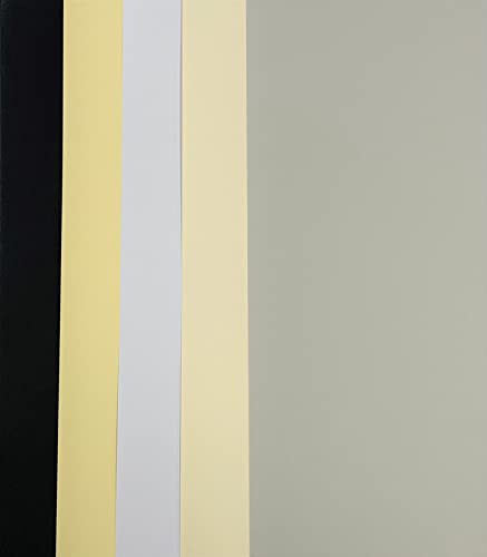 DALTON MANOR Lot de 50 feuilles cartonnées neutres assorties A4 160 g/m² Cover