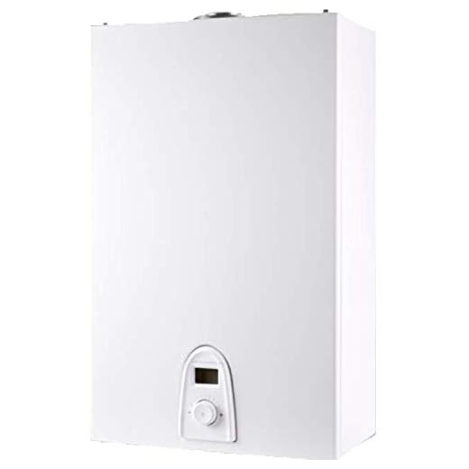 Thermor 298019 Calentador Gas Estanco Top Sealed 11 RS i D E Butano + Kit Evacuación Humos, Blanco