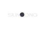 Sunsong 3170018 Power Steering Pressure Hose Seal Ring