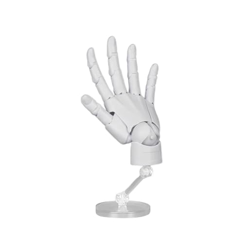 Articulated Hand Model for Artists Posable Mannequin Hand with Flexible Joints Adjustable Art Hand Model for Drawing Sketching Painting Right Hand