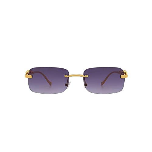 Image of Dervin Leopard Decorated Arms Rimless Rectangle Sunglasses for Men and Women