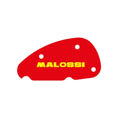 Facilmente intercambiabile e ideale per motori ad alte prestazioni.