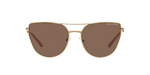 Armani Exchange Women's Ax2045s Cat Eye Sunglasses