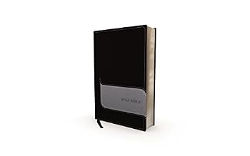 Imitation Leather Understand the Faith Study Bible-NIV: Grounding Your Beliefs in the Truth of Scripture Book