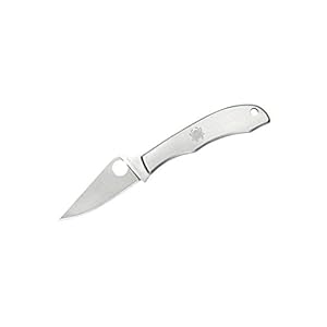 Spyderco Honeybee SS C137P 01SP639, grau