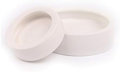 OTO Worm Dish Mini Reptile Food Bowl Ceramics Made 2 Pack