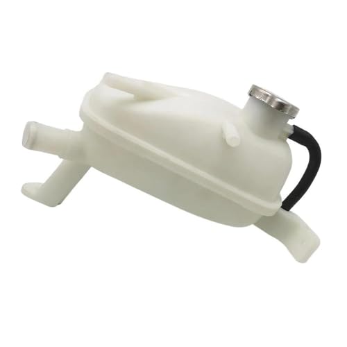 Depósito de radiador Hyundai Elantra 2017 2018 2019 OEM 25430F0300