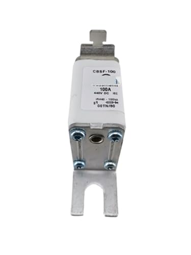 GBSF-100 fusible limiteur de courant blanc pour matériel connecté - 4