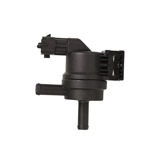 Électrovanne purge canister finis les démarrages difficiles sur Hyundai Santa Fe et Veloster