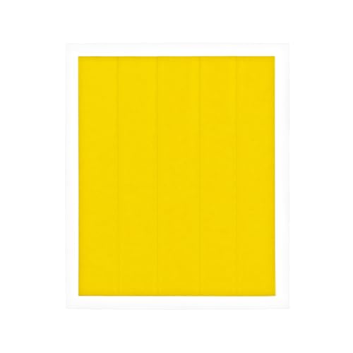 Thermal Grizzly - Kapton Isolierfolie - 50x Streifen (10x60mm) - 40µm dicke Hochtemperatur-Polyimidfolie für CPU/GPU Tim-Schutz zur sicheren Montage von Conductonaut (Extreme), Kryosheet und Carbonaut