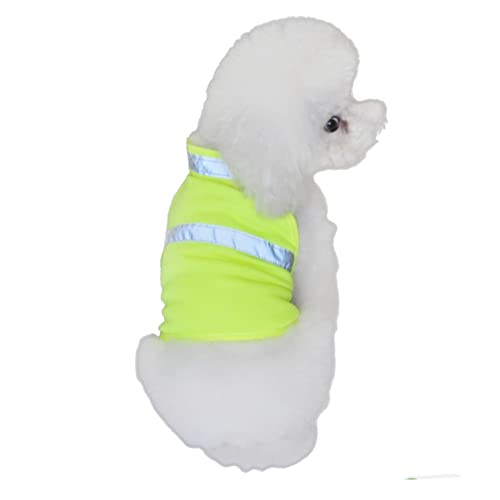 PERSELOSO ybg  xXg  N[ WPbg 傫 ybg p