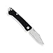 Buck Knives 250 Saunter Slip-Joint Folding Pocket Knife, 2 3/8