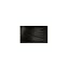 1N Ebony Black