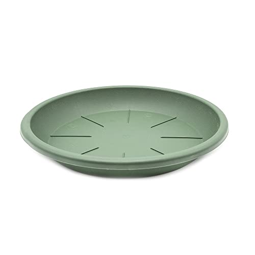 CABLEPELADO Plato Maceta 16 cm (Verde)