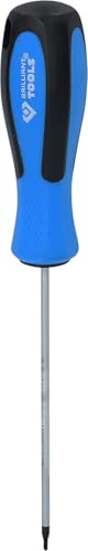 BRILLIANT TOOLS BT031037 Destornillador TORX, T6 x 100 mm [Powered by KS TOOLS]