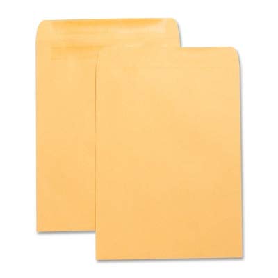 Business Source Catalog Envelope with Adhesive Strip - 10amp;quot; x