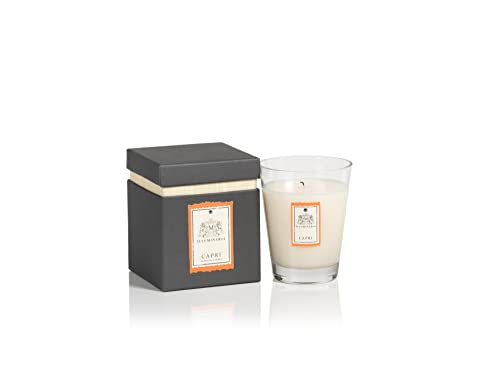 Zodax Illuminaria Collection Scented Candle Small Glass Jar In Gift Box (Capri) - 340 Gr/12 Oz #TOP30