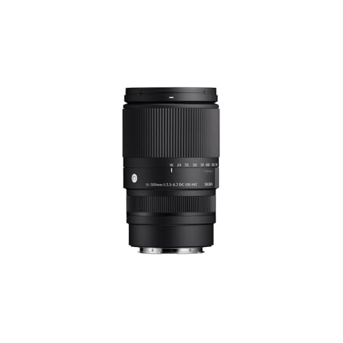 Image of 16-300mm F3.5-6.7 DC OS | Contemporary