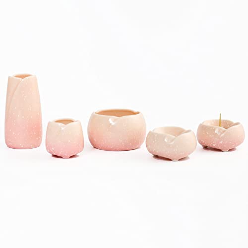 d͂₵ Zbg _ Zbg J 5_Zbg  2F IWiNXZbg (1)  炬