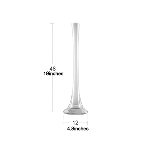 Vase moderne et simple transparent pour valoriser de grandes fleurs séchées