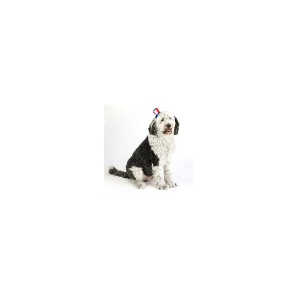 Midlee uncle sam 4th of july hat for large dogs headband- captain halloween costume - image 3