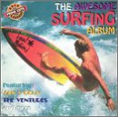 Awesome Surfing Album [Audio CD] Various Artists