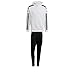 Produktbild adidas Herren Sweatanzug Squadra 21 GT6637+GT6642 XXXL