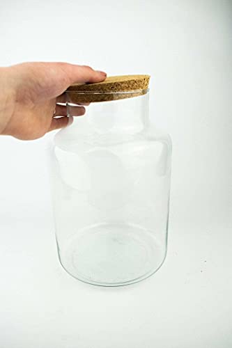 Gesloten terrarium container | 27 cm met kurkdeksel - Afbeelding 5