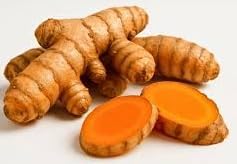 9 Mixed Garden Bulbs Variety, 3 Orange Turmeric Roots 3 White Ginger Roots 3 Jerusalem Artichoke Tubers