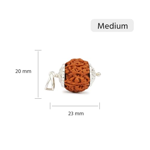 Image of Gemsmantra 6 Mukhi Rudraksha Bead With Silver Pendant 92.5 Purity with Sterling silver |Medium Size | Original Nepali | Natural and Lab Certified | Enhances Willpower, Confidence, Vitality, and Spiritual Growth For Men & Women