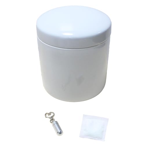  6 J كZbg ؗ 퐻 nCp[VJ  AJvZt Ch~ ʋC dl 茳{ [Oۊǂ