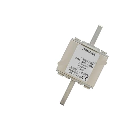 Fusible rapide 170M4069 élimine les courts-circuits destructeurs de la série 170M4068